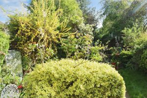 Photo 2- click for photo gallery